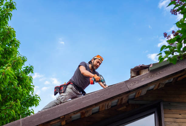 Best Roofing for New Construction  in Wayne, OH