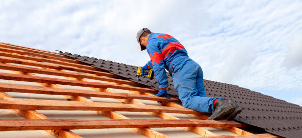 Roof Moss and Algae Removal in Wayne, OH